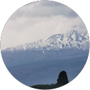 S. P. profile picture